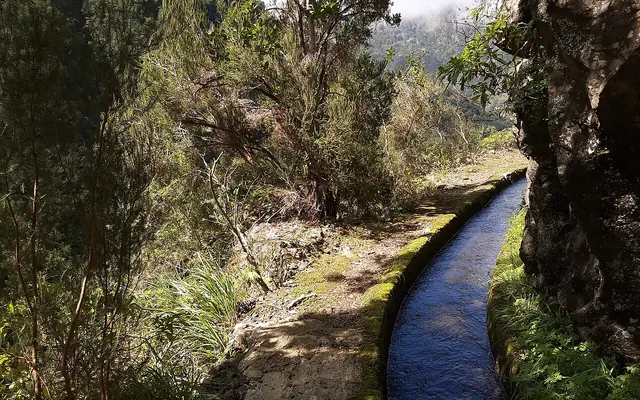 Levadas, canalele de irigație din Madeira