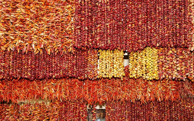Mercado dos Lavradores, Madeira